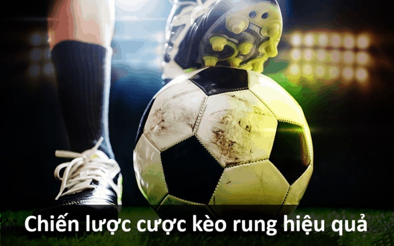 Chiến thuật cược hiệu quả đối với kèo rung là gì?