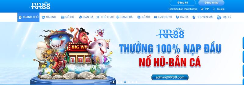 Những thông tin chi tiết về RR88 anh em nên biết